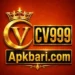 Cv999