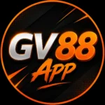 GV88