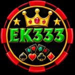 EK333 App